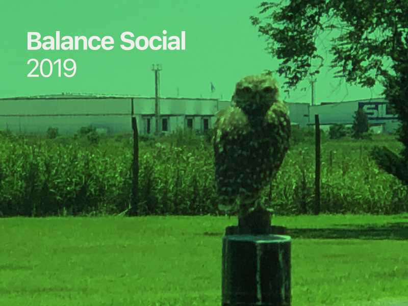 Balance Social 2019