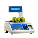 Report LT Lite Scale