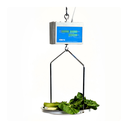 Cenit Scale