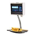 Report NX Hanging Scale TCP