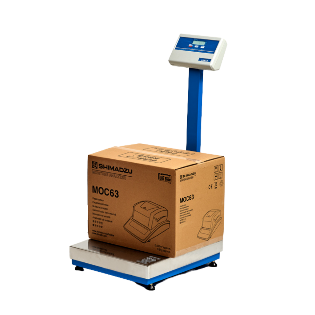 Master Scale with Column